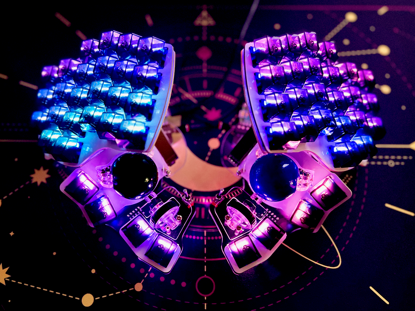 Killer Whale: Custom Color