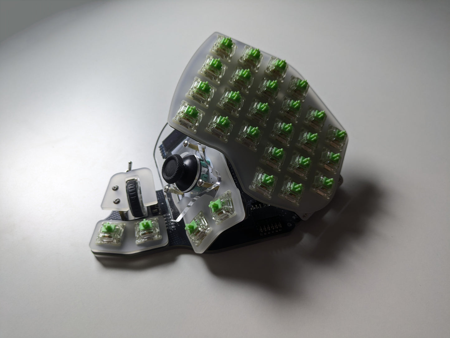 Killer Whale: Custom Color