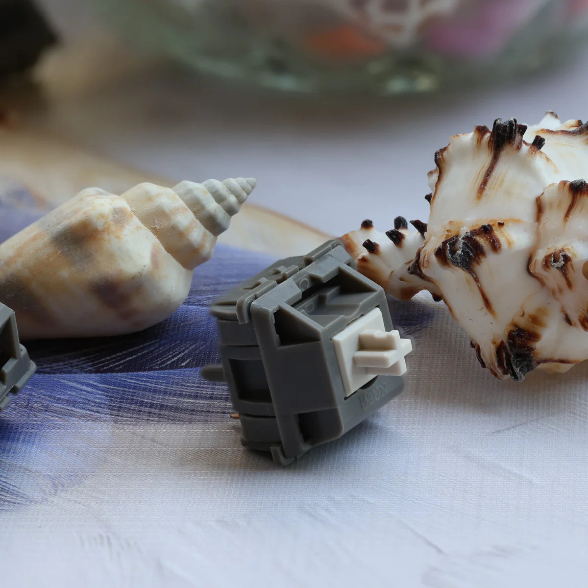 Switches (bundle)