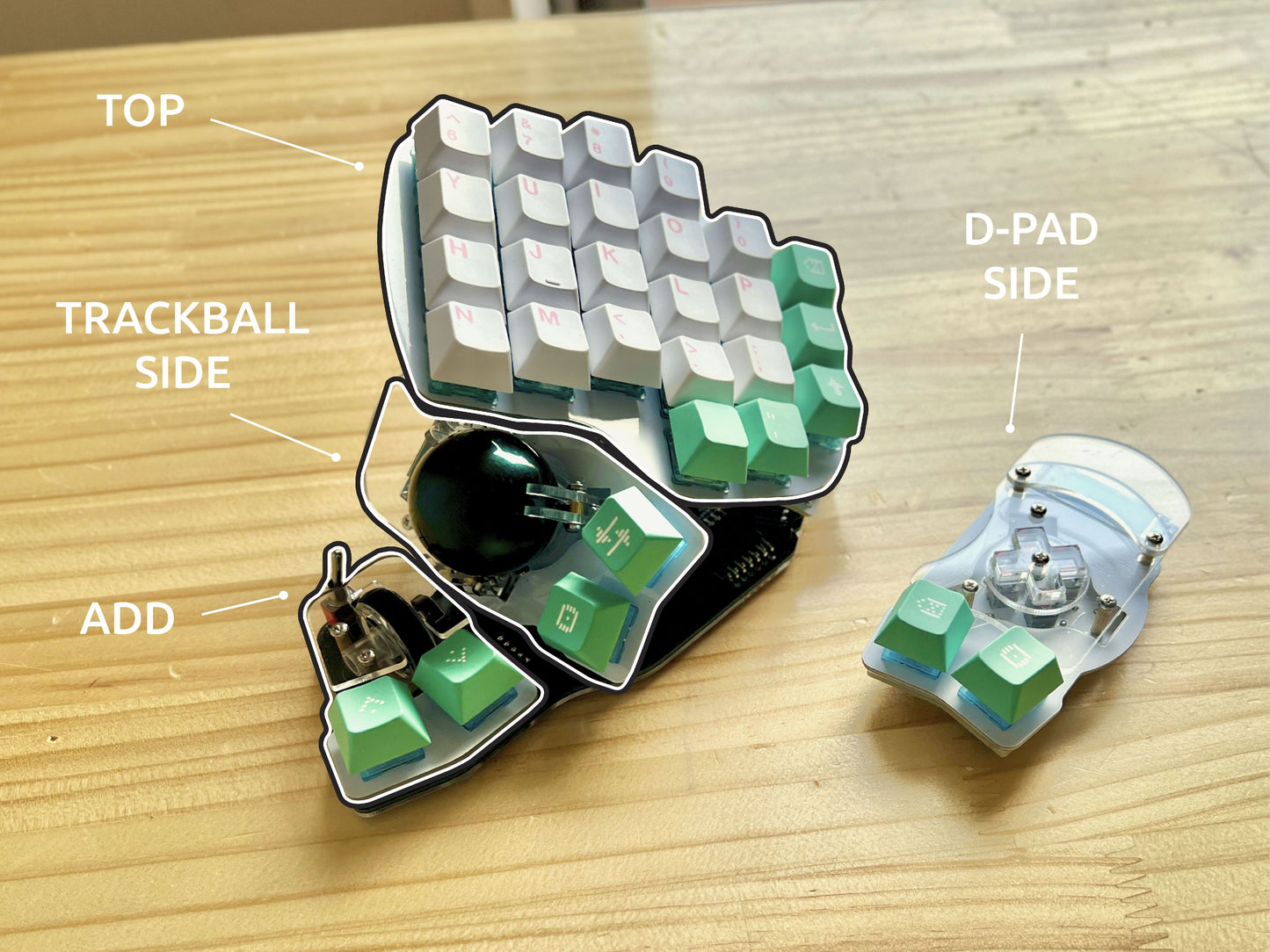 Killer Whale: Custom Color