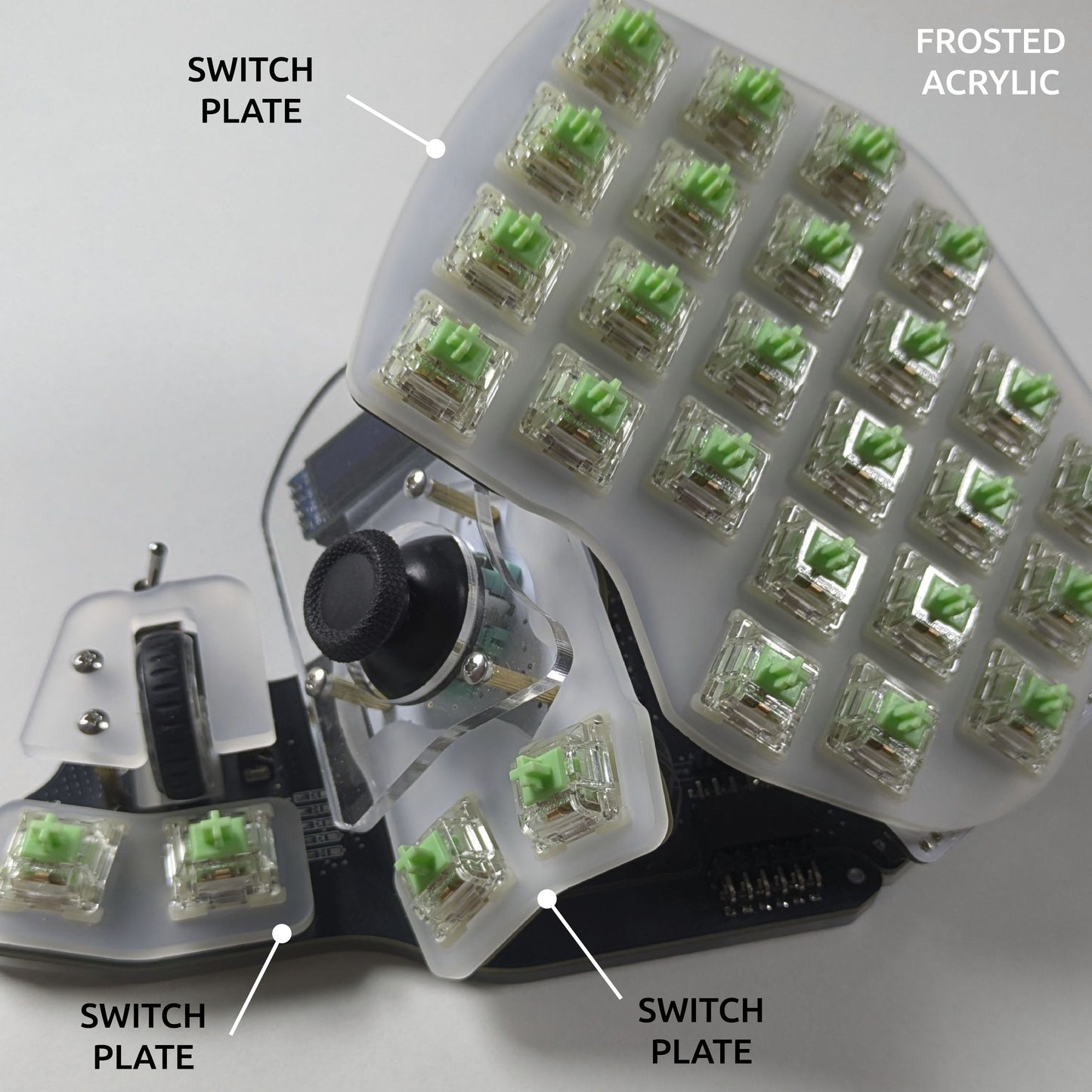 Killer Whale: Custom Color